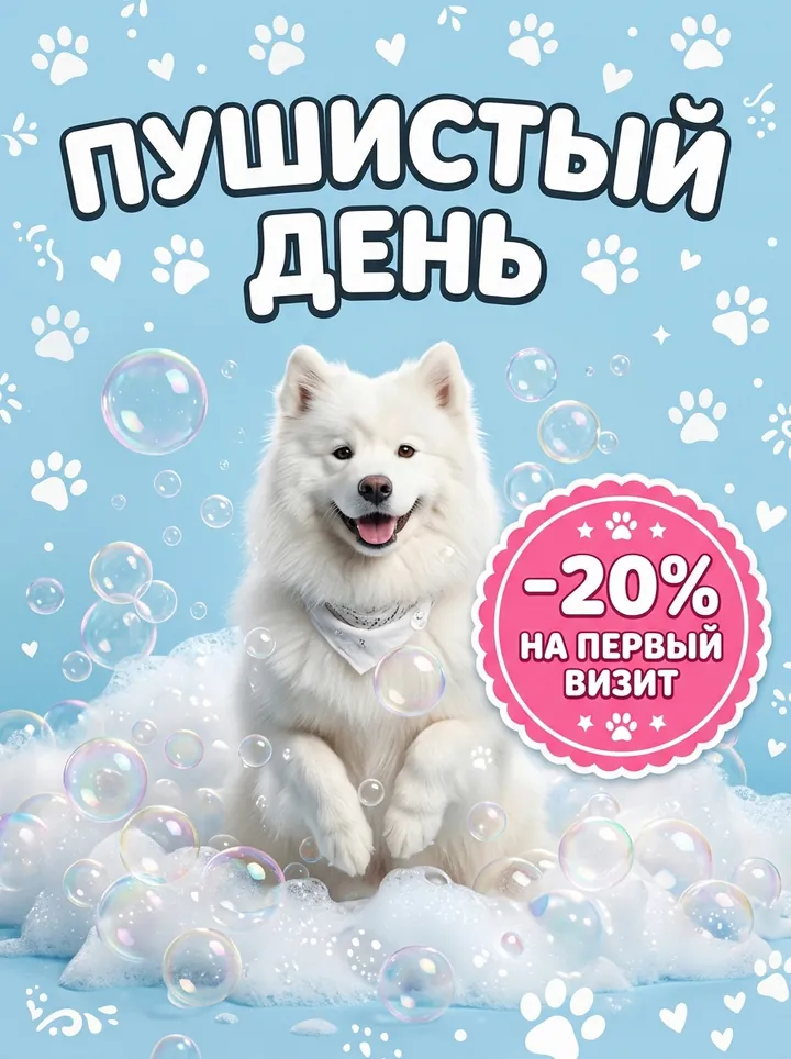 Листовка груминг-салона